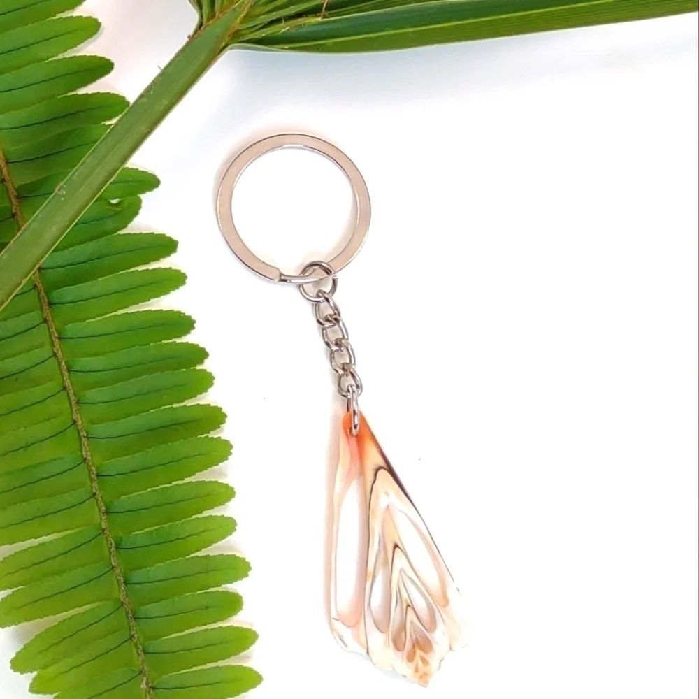Seashell Keyring Slice Conch Seashell Clearwater Beach, Florida